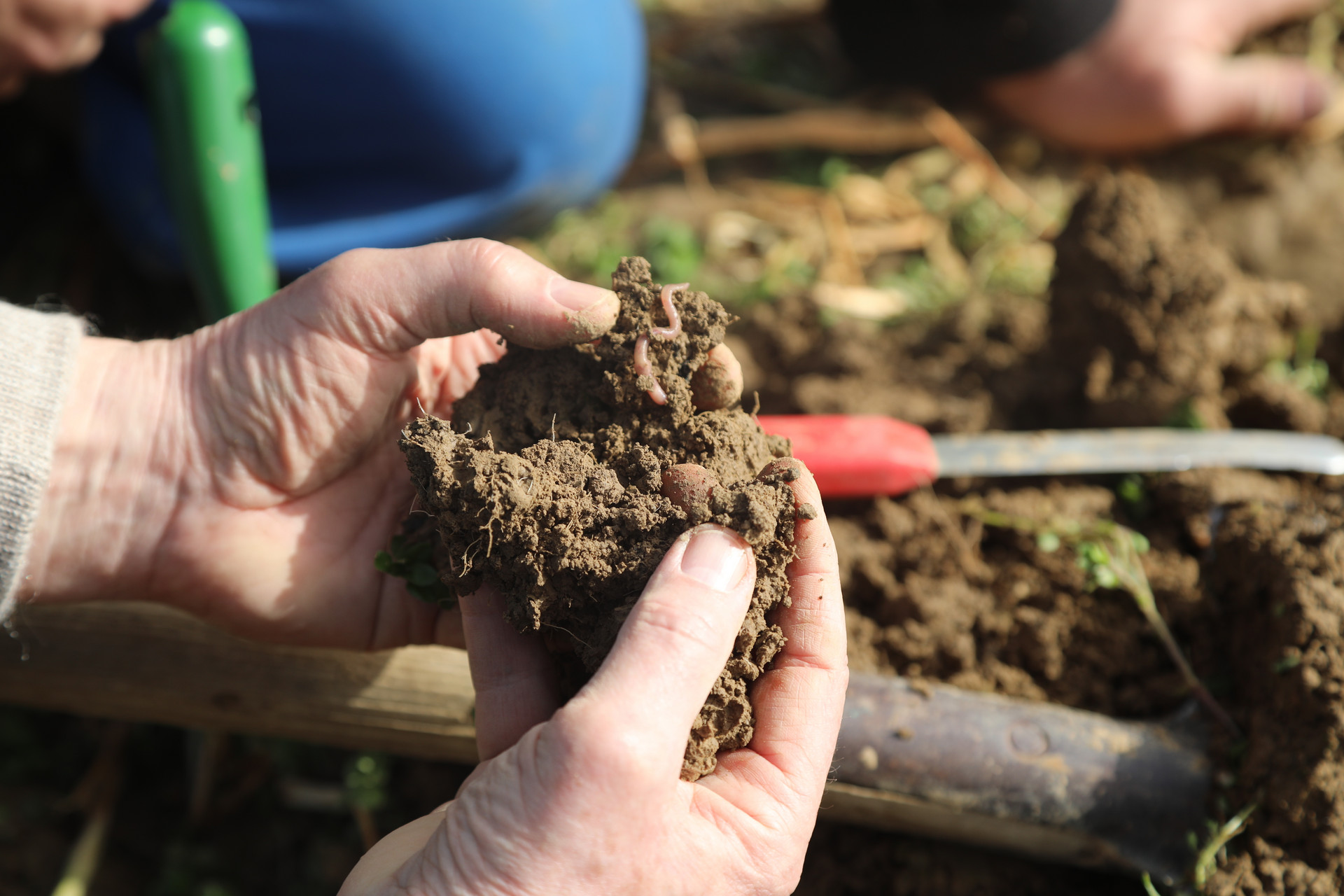 Böden aus Ökolandbau sind in der Regel fruchtbarer durch Milliarden von Bodenorganismen. Daher sind sie auch lockerer als Böden aus konventionellem Anbau © ZDF/Berndt Welz