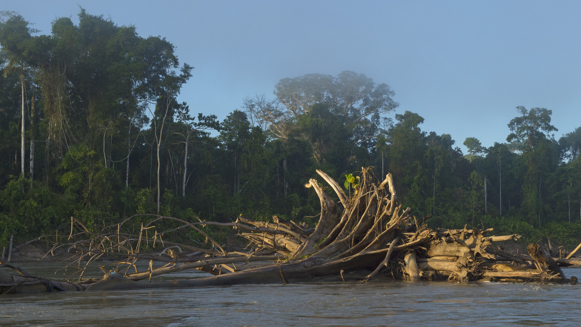 Schatzkammer Regenwald - Der Manu-Nationalpark in Peru © ZDF/Axel Gomille