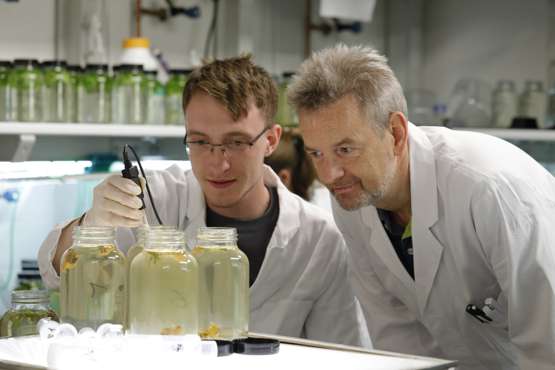 Der Endokrinologe Dr. Jörg Oehlmann untersucht, wie Umwelthormone bei Labor-Schnecken wirken © ZDF/Ralf Gemmecke