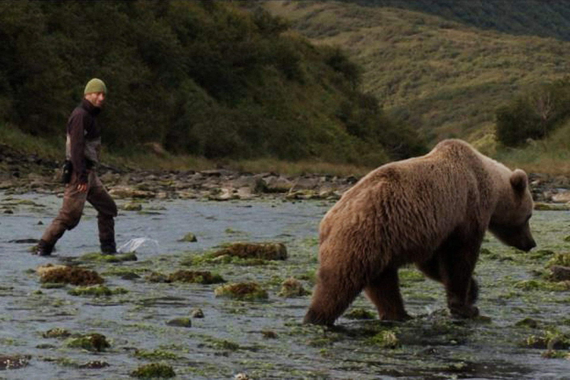 David Bittner kennt den Umgang mit Bären. Copyright: ZDF/SRF/Roman Droux