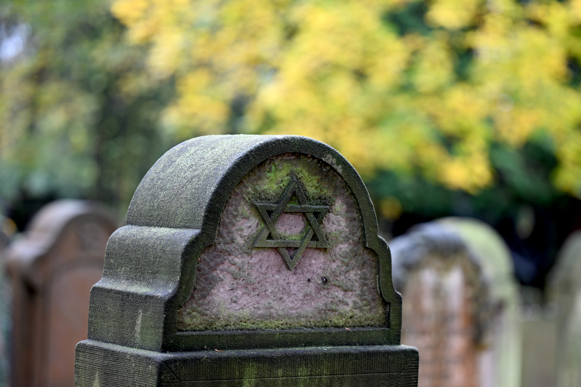 In der Progromnacht am 9. November 1938 wurden in ganz Deutschland jüdische Geschäfte, Gotteshäuser und andere Einrichtungen in Brand gesetzt oder beschädigt. Historiker gehen von mehr als 1300 Menschen aus, die in Folge des Pogroms ums Leben kamen. (Bild: Jüdischer Friedhof) © Federico Gambarini/dpa In der Progromnacht am 9. November 1938 wurden in ganz Deutschland jüdische Geschäfte, Gotteshäuser und andere Einrichtungen in Brand gesetzt oder beschädigt. Historiker gehen von mehr als 1300 Menschen aus, die in Folge des Pogroms ums Leben kamen. (Bild: Jüdischer Friedhof) © Federico Gambarini/dpa