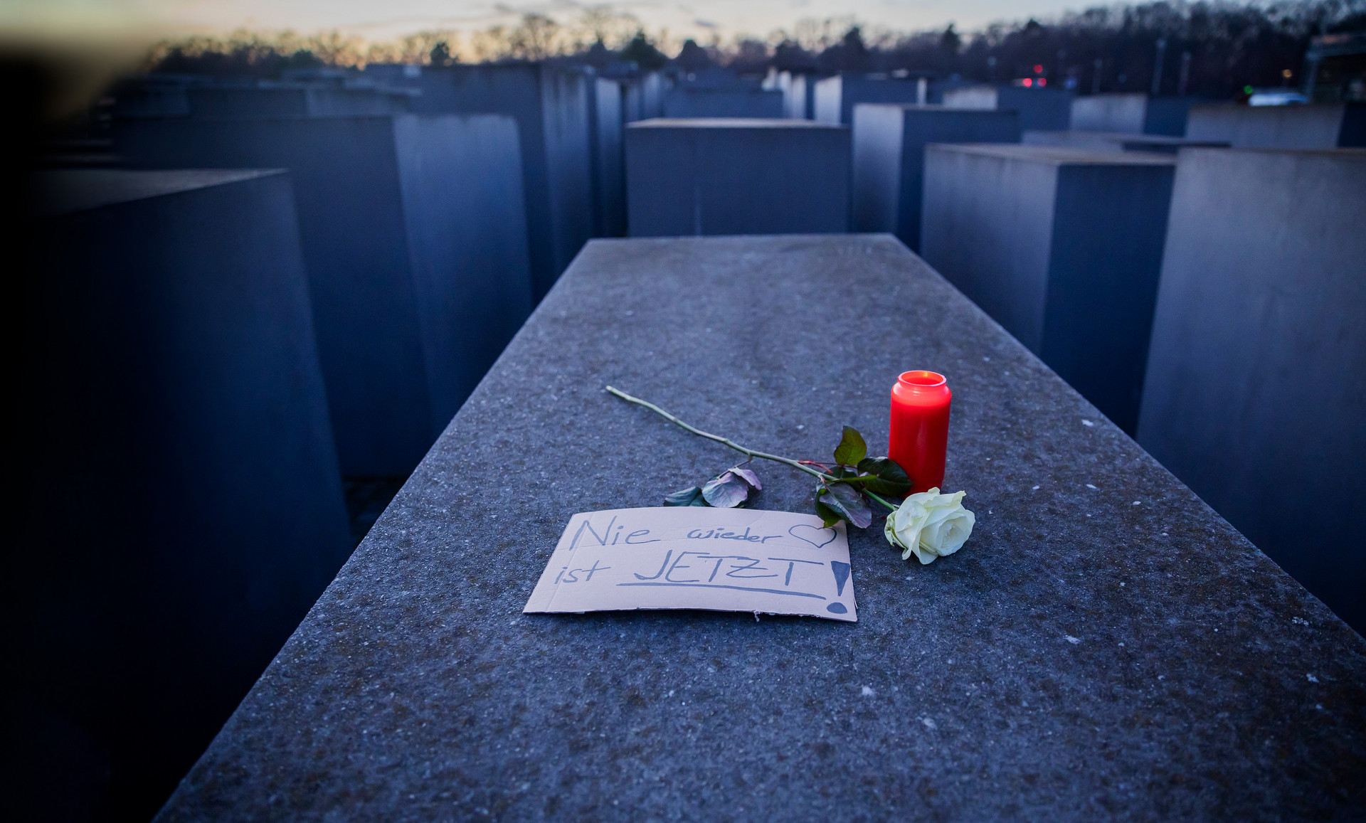 Das Denkmal für die ermordeten Juden Europas in Berlin ist Deutschlands zentrale Holocaustgedenkstätte. / © Christoph Soeder/dpa