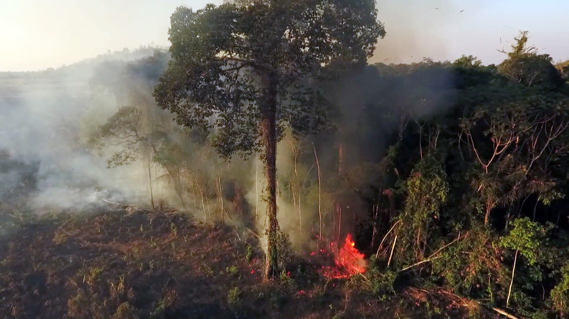 Brasilien: Brandrodung im Regenwald für immer mehr Weideflächen © ZDF/SWR