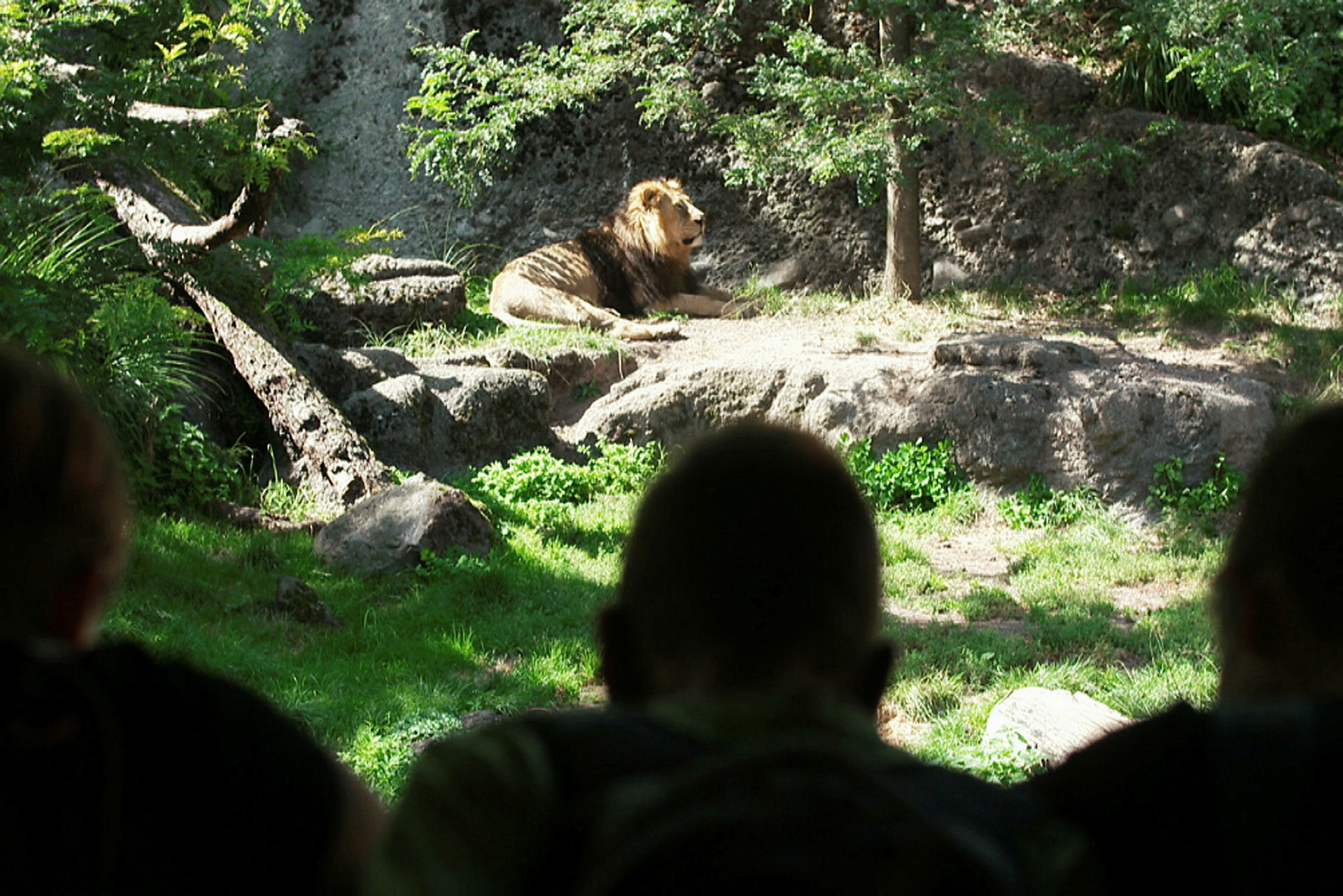 Ist das Konzept Zoo noch zeitgemäß? © ZDF/SRF