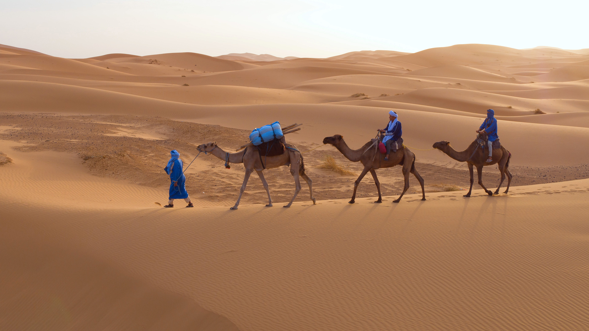 Bis heute ziehen Beduinen als Nomaden durch die Sahara, wobei Dromedare ihre unentbehrlichen Begleiter sind © ZDF/Off the Fence