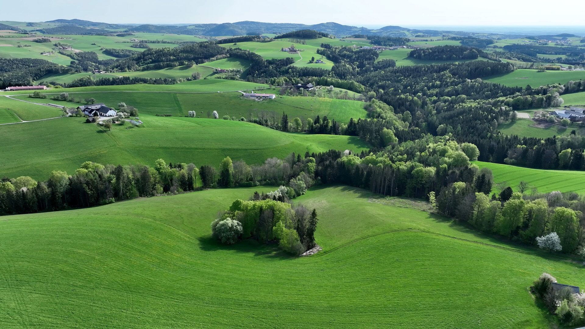Bucklige Welt, Landschaft / © ZDF/ORF/Ranfilm Bucklige Welt, Landschaft / © ZDF/ORF/Ranfilm
