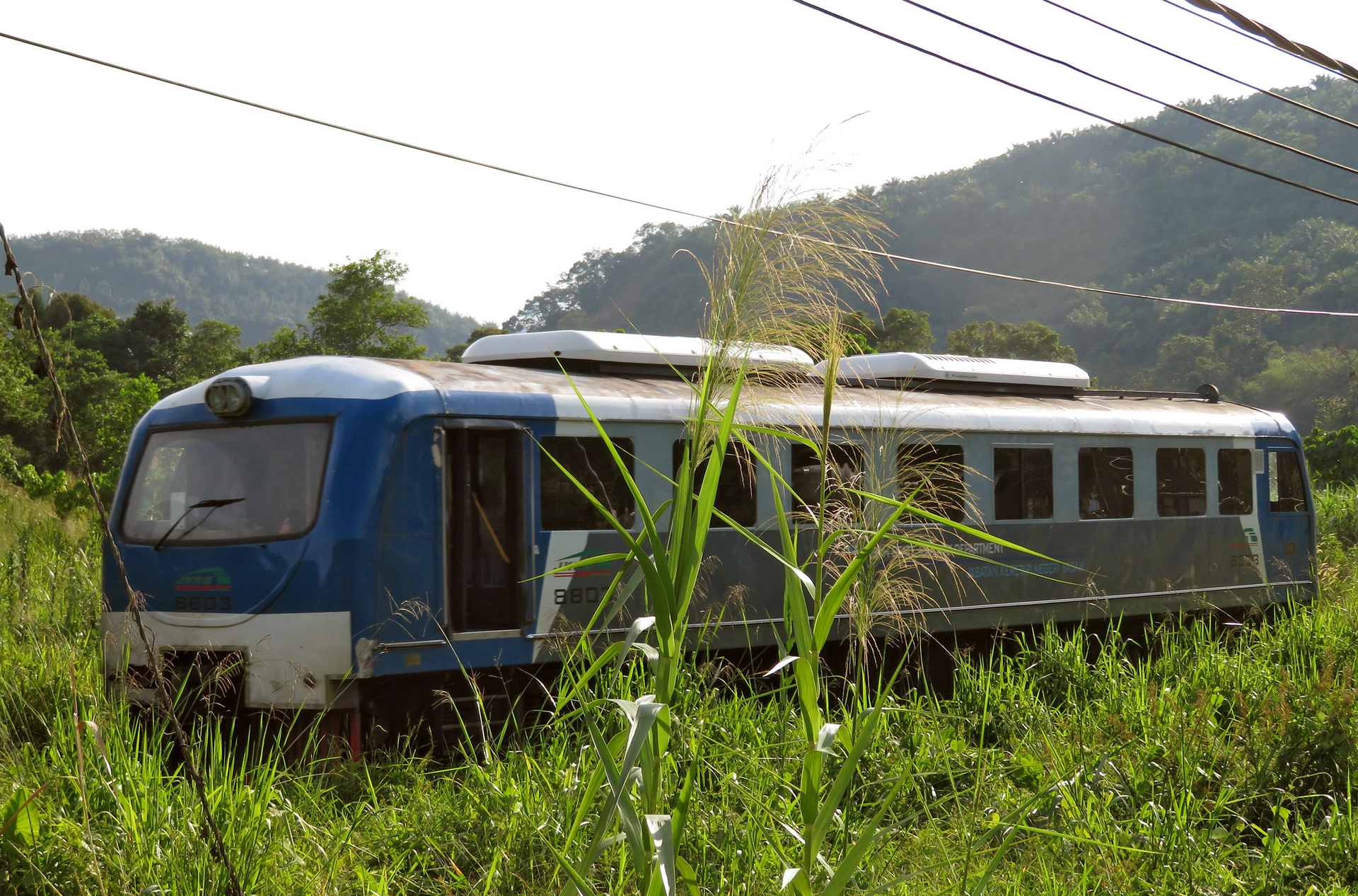 Unterwegs in den Dschungel von Sabah: der Regionalzug zwischen Beaufort und Tenom. 2011 erweiterte die Staatsbahn ihren Fuhrpark um einige neue chinesische Dieseltriebwagen. / © ZDF/SWR/Susanne Mayer-Hagmann 