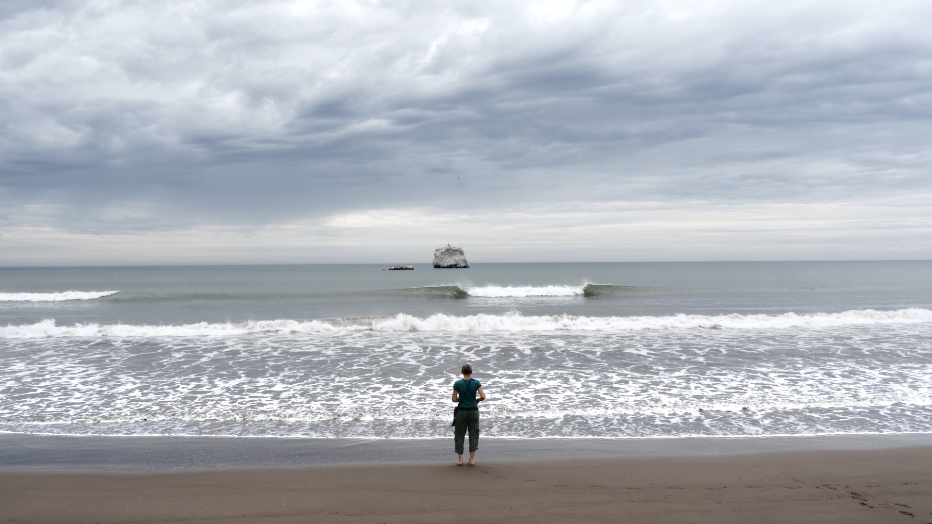 Am Anfang ihrer Studien erforschte die Biologin Monica Gagliano Meereslebewesen.
© ZDF und Eric Black. Am Anfang ihrer Studien erforschte die Biologin Monica Gagliano Meereslebewesen.
© ZDF und Eric Black.