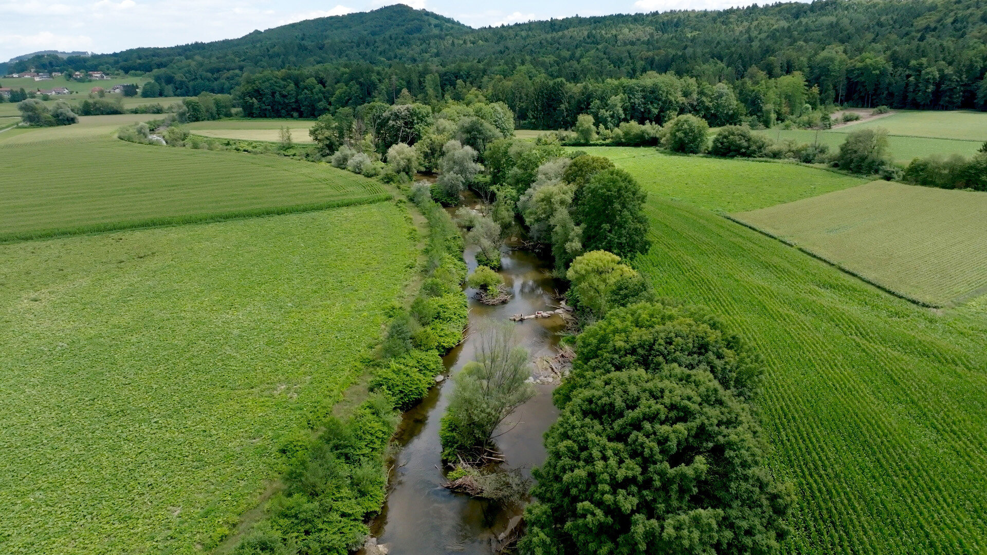 Die Sulm

© ZDF und ORF/RANFILM.
